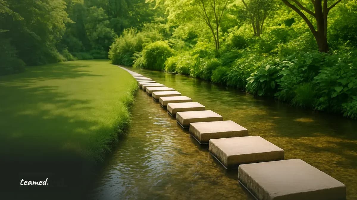 Stepping stones crossing a stream, representing the EOR-to-entity crossover point.