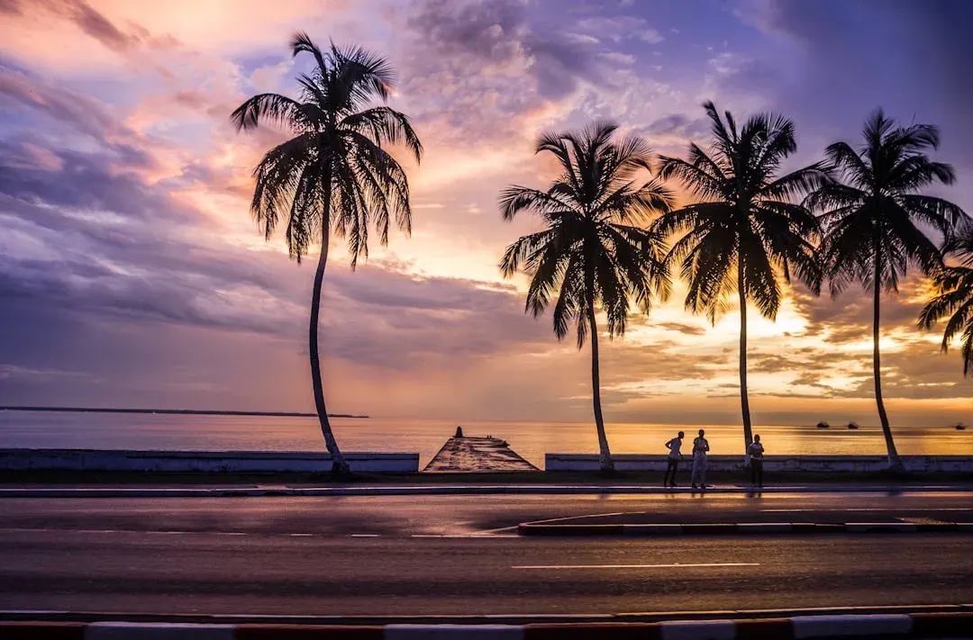 Libreville waterfront at dusk: the Omar Bongo Bridge reflected in the Komo estuary, palm trees in the foreground and the equatorial sky shifting from orange to deep blue.