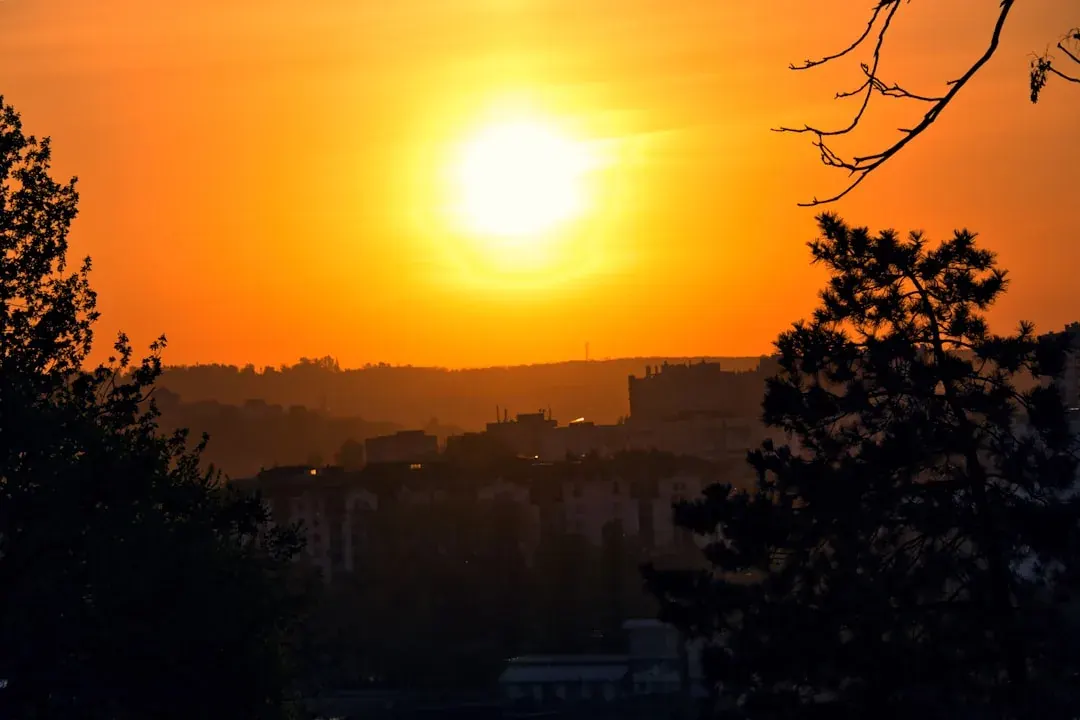 A warm illustration of central Chisinau at golden hour, with the tree-lined Stefan cel Mare boulevard, the Nativity Cathedral bell tower, and parkland in soft amber light.