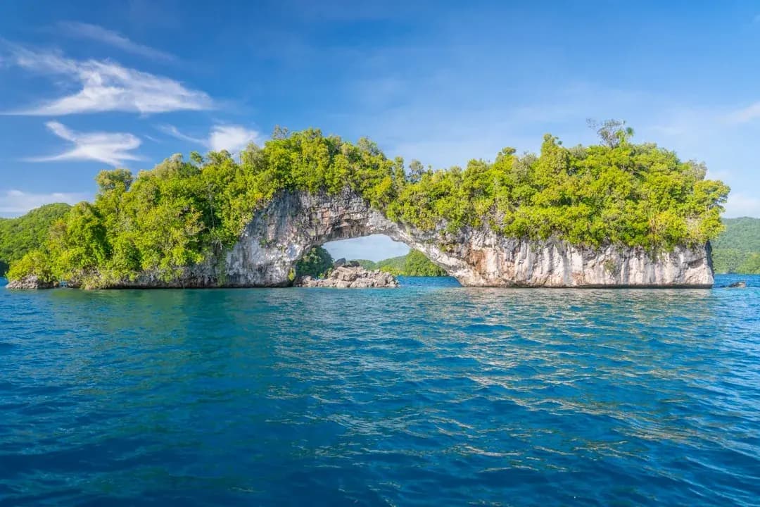 A contractor working at a desk overlooking the clear turquoise waters of Palau's Rock Islands, with lush green islets visible through a wide window.
