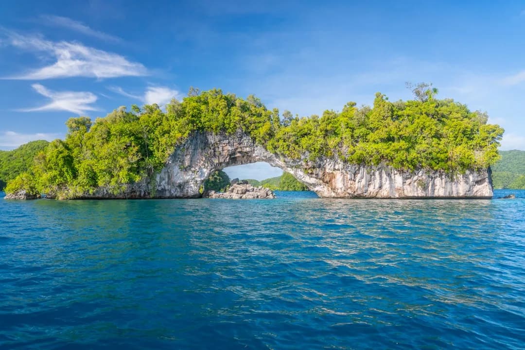 A contractor working at a desk overlooking the clear turquoise waters of Palau's Rock Islands, with lush green islets visible through a wide window.