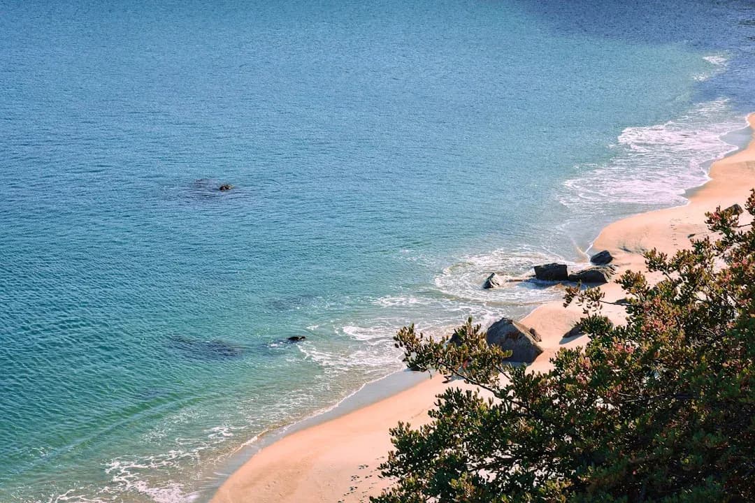A contractor working at a waterfront cafe in Sao Tome, with the blue Atlantic and lush green hillside visible through the open window.