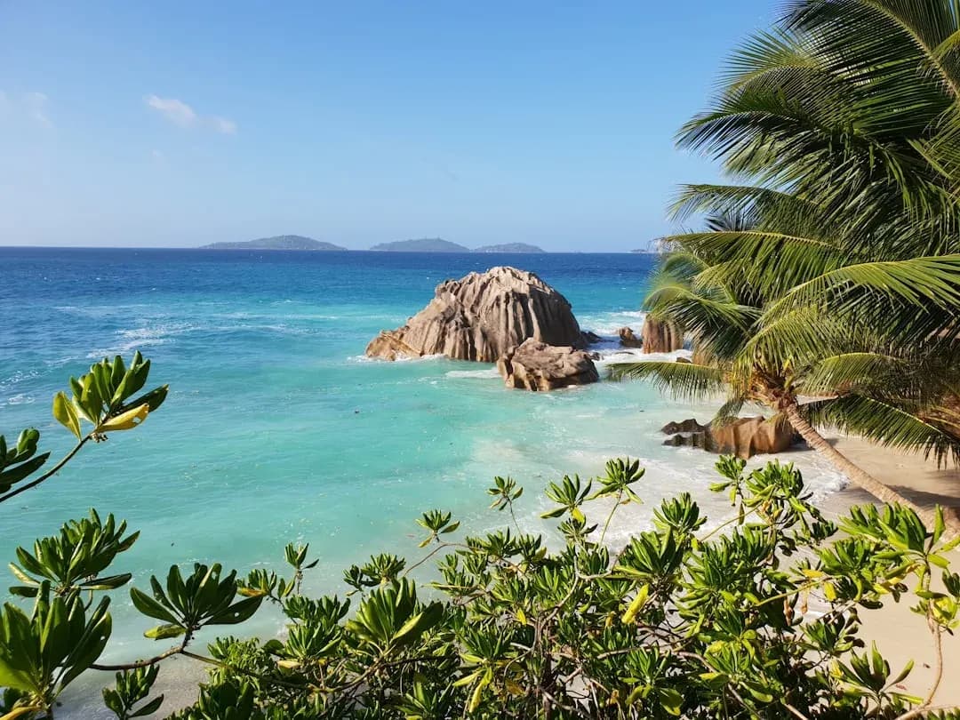 A contractor working at an open-air desk in Victoria, Mahe, with the granite boulders and palm trees of the Seychelles coastline visible through the window behind them.