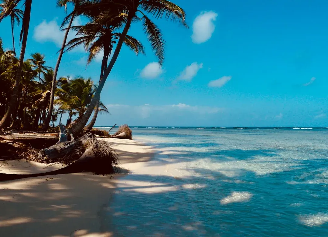 A coastal village in the Solomon Islands: traditional timber buildings on stilts over clear turquoise water, surrounded by dense tropical forest on Malaita island.