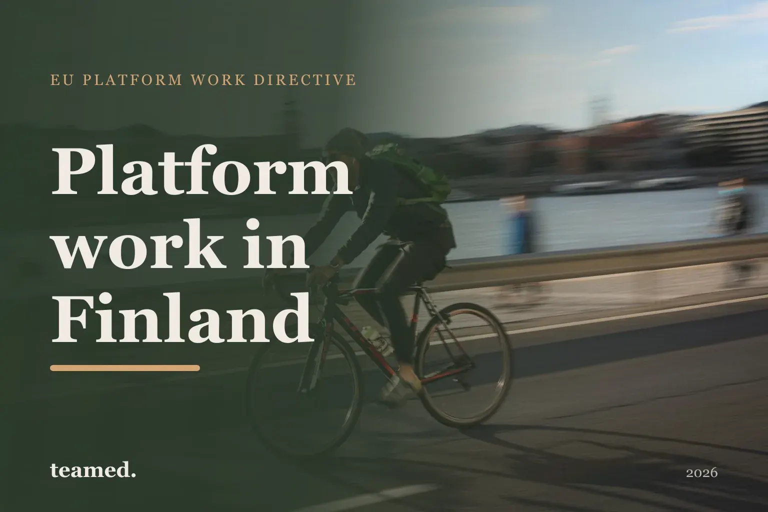 Platform work in Finland