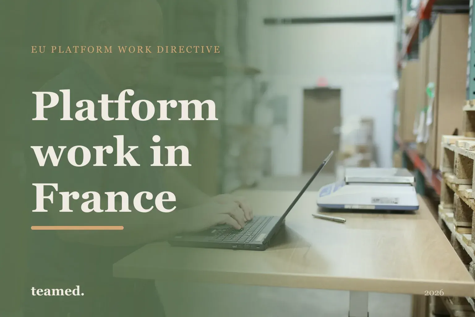 Platform work in France