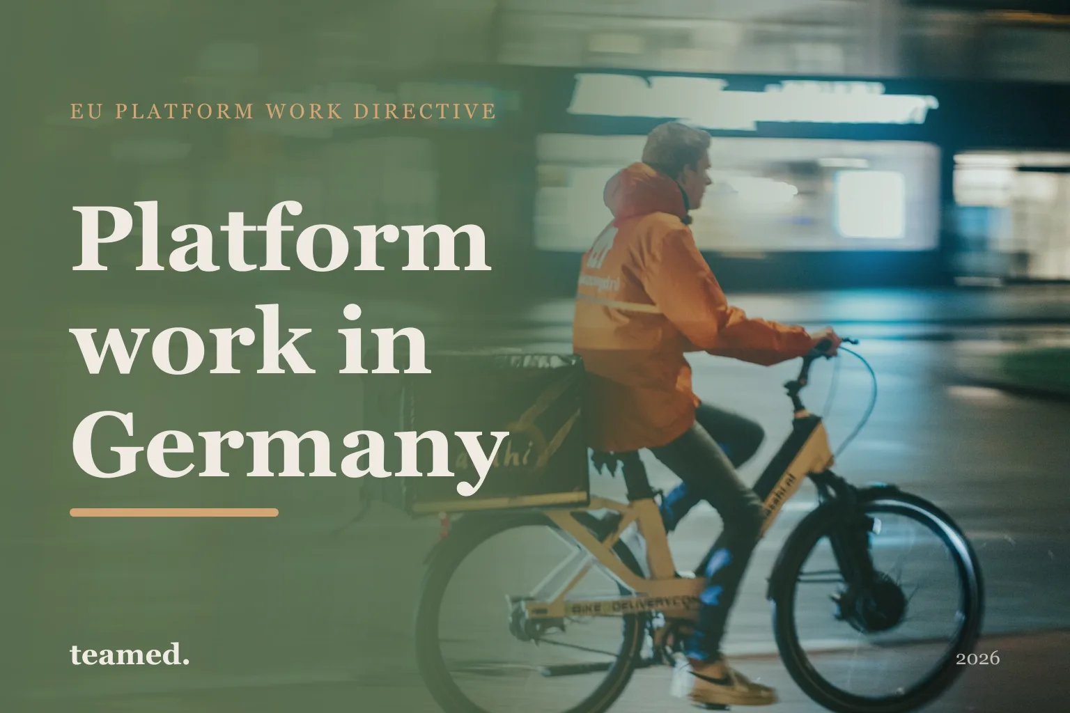 Platform work in Germany