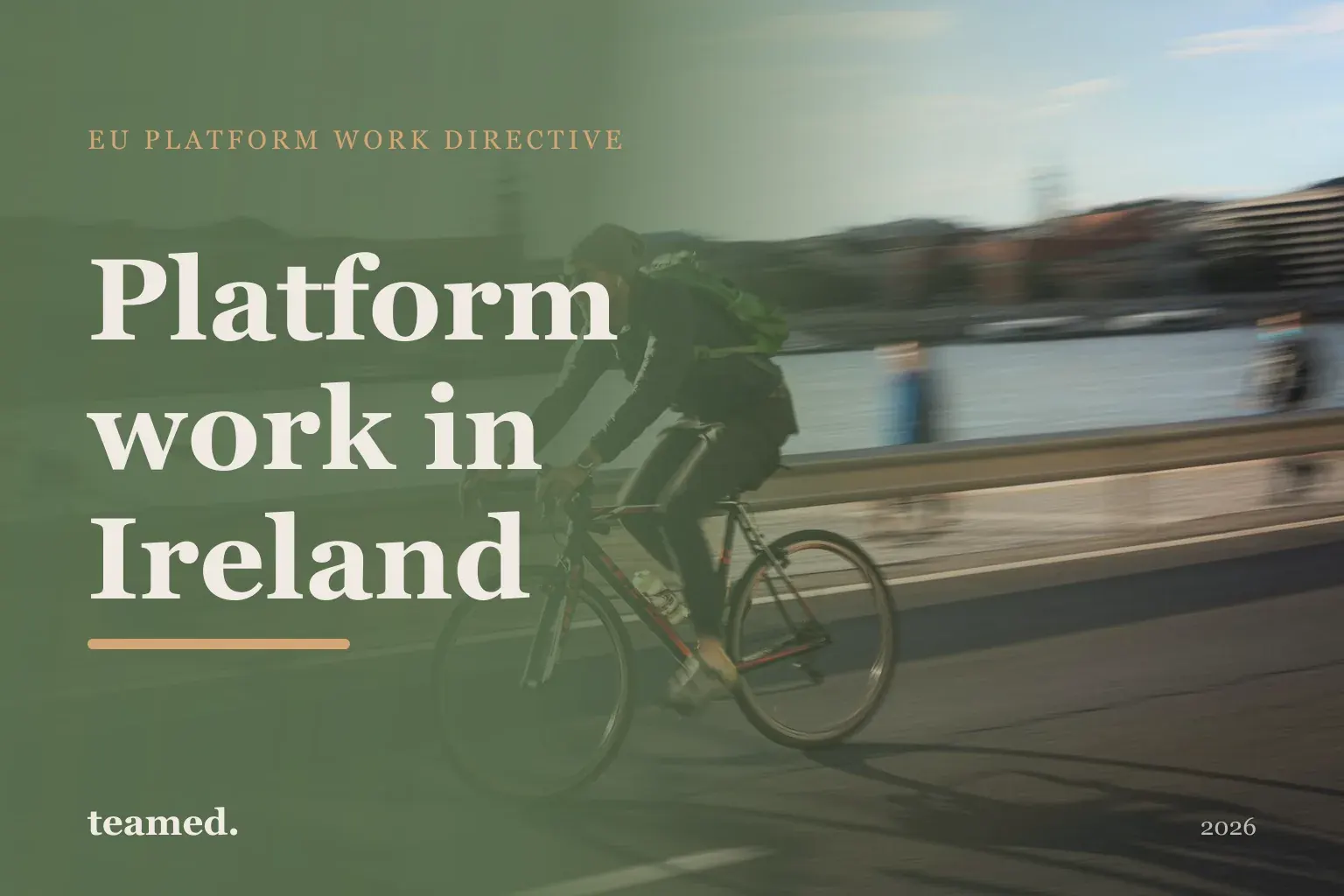 Platform work in Ireland
