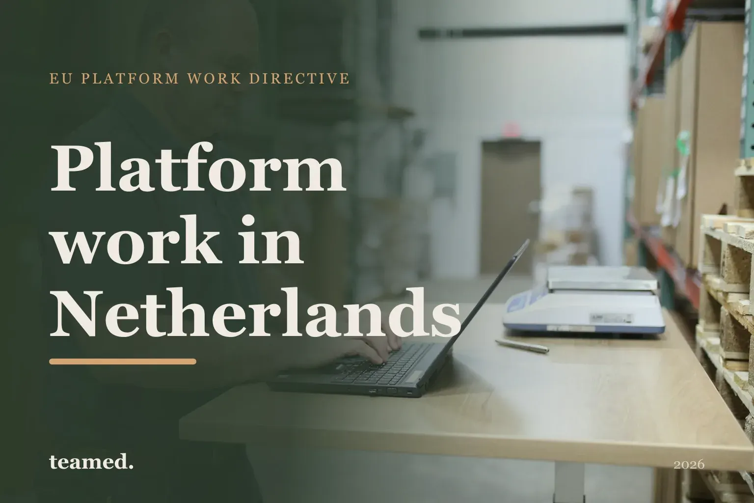 Platform work in Netherlands