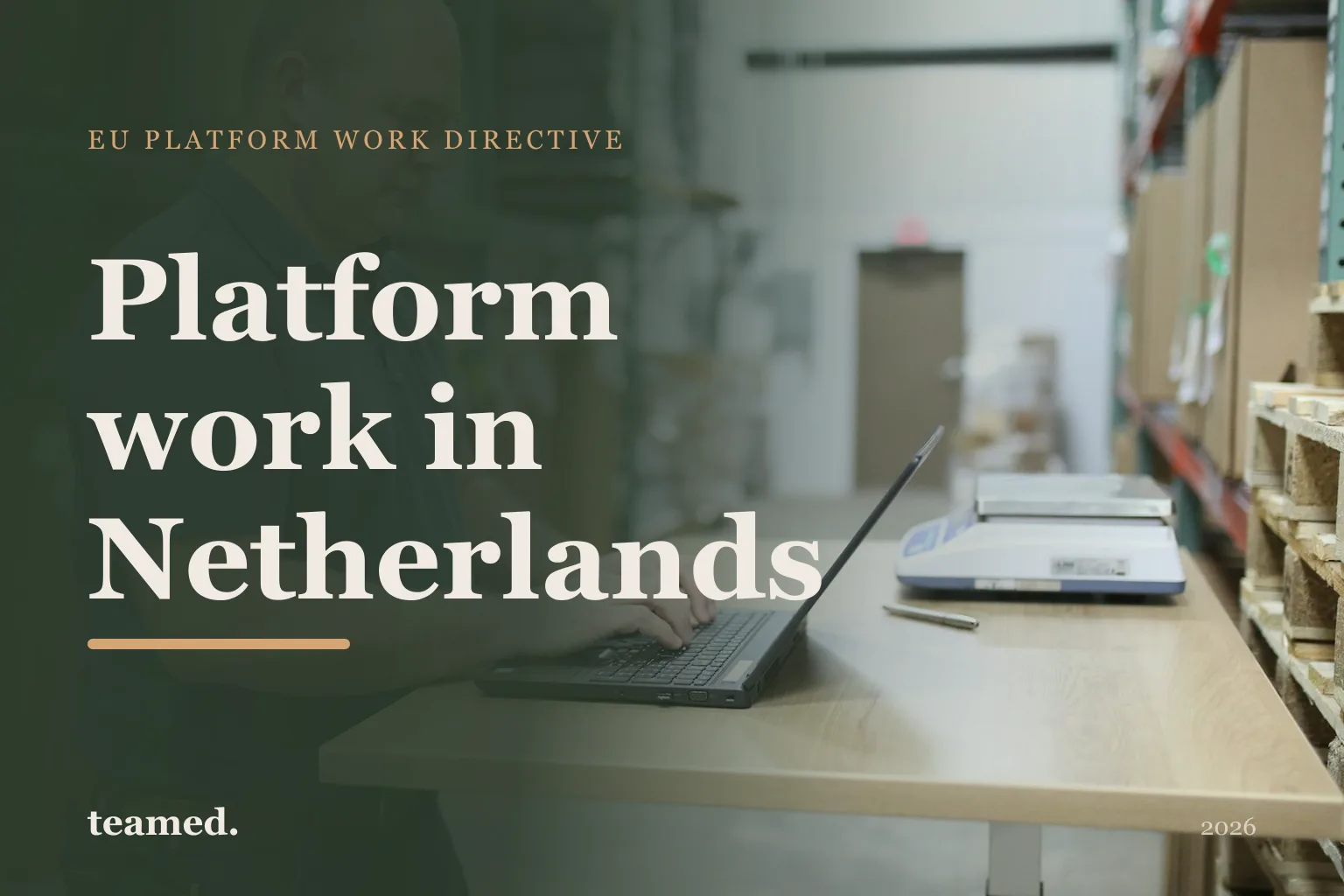 Platform work in Netherlands