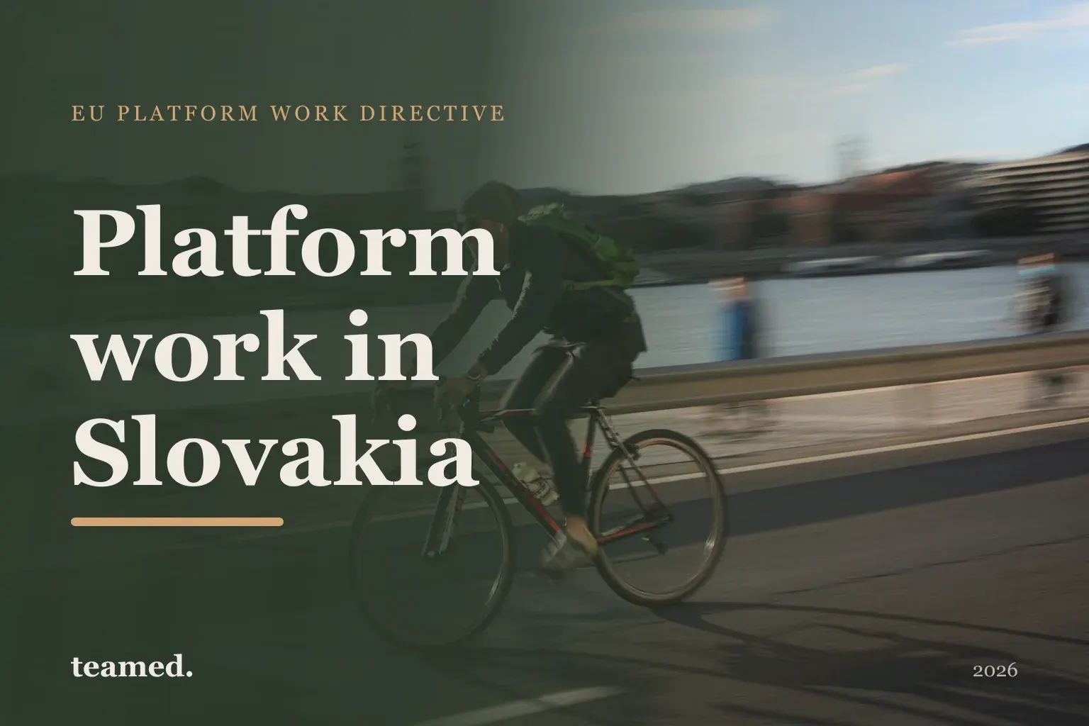 Platform work in Slovakia