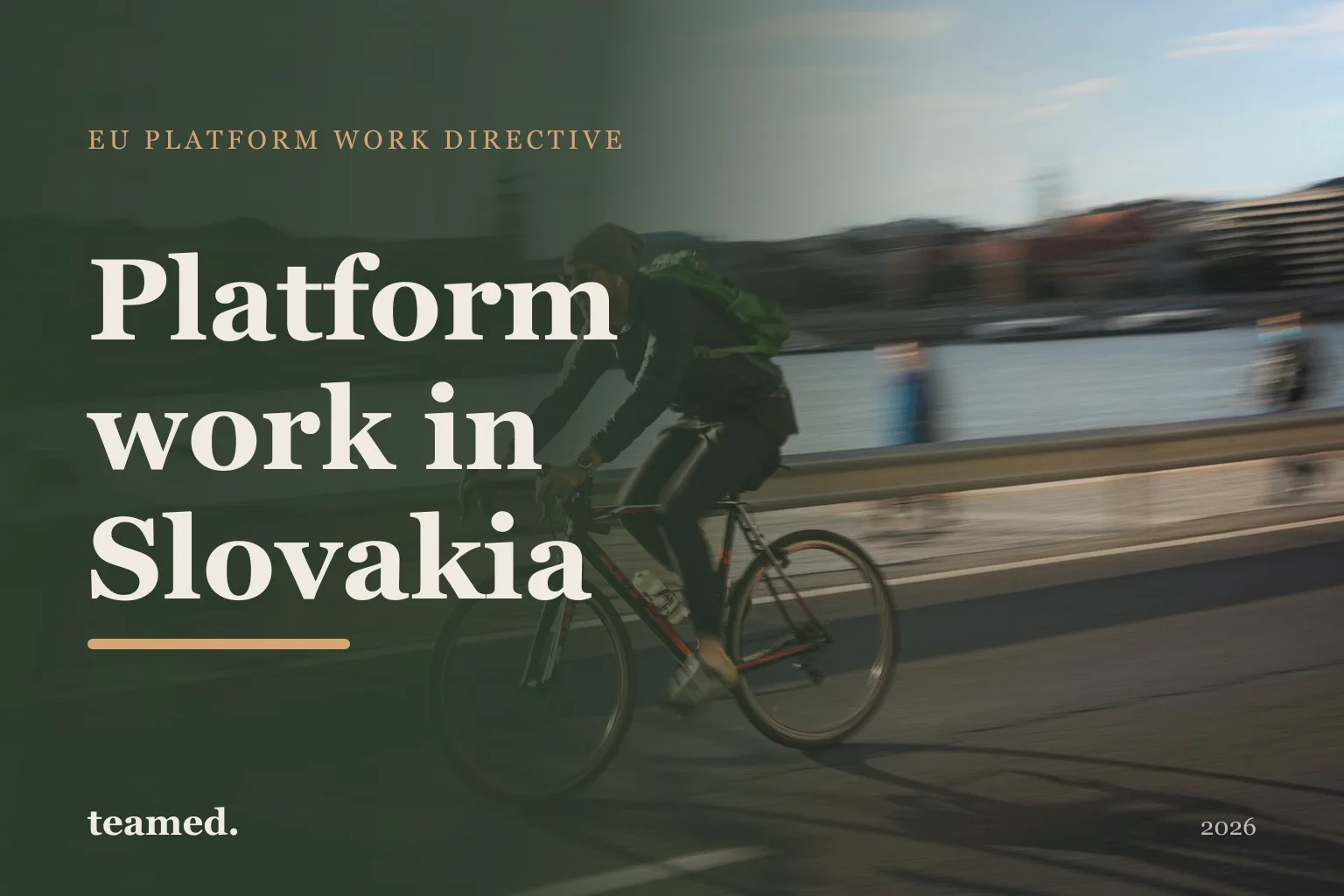 Platform work in Slovakia