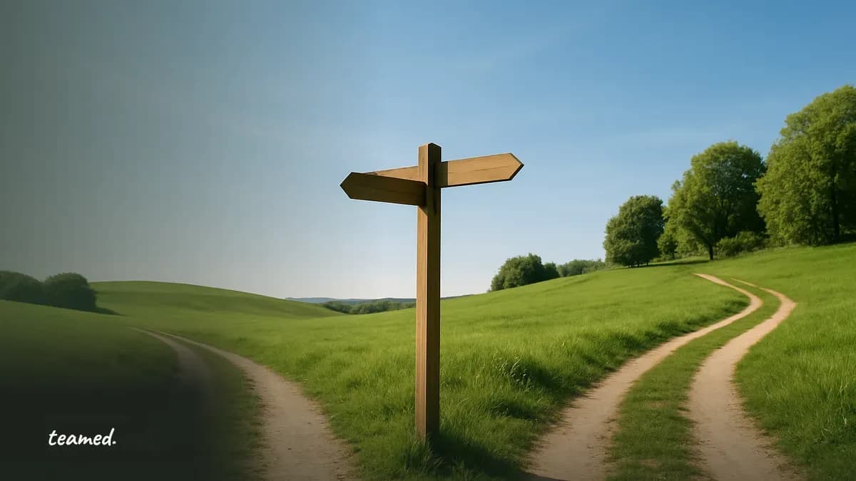 A signpost at a forked path, representing a buying-criteria shortcut and the choices it hides.