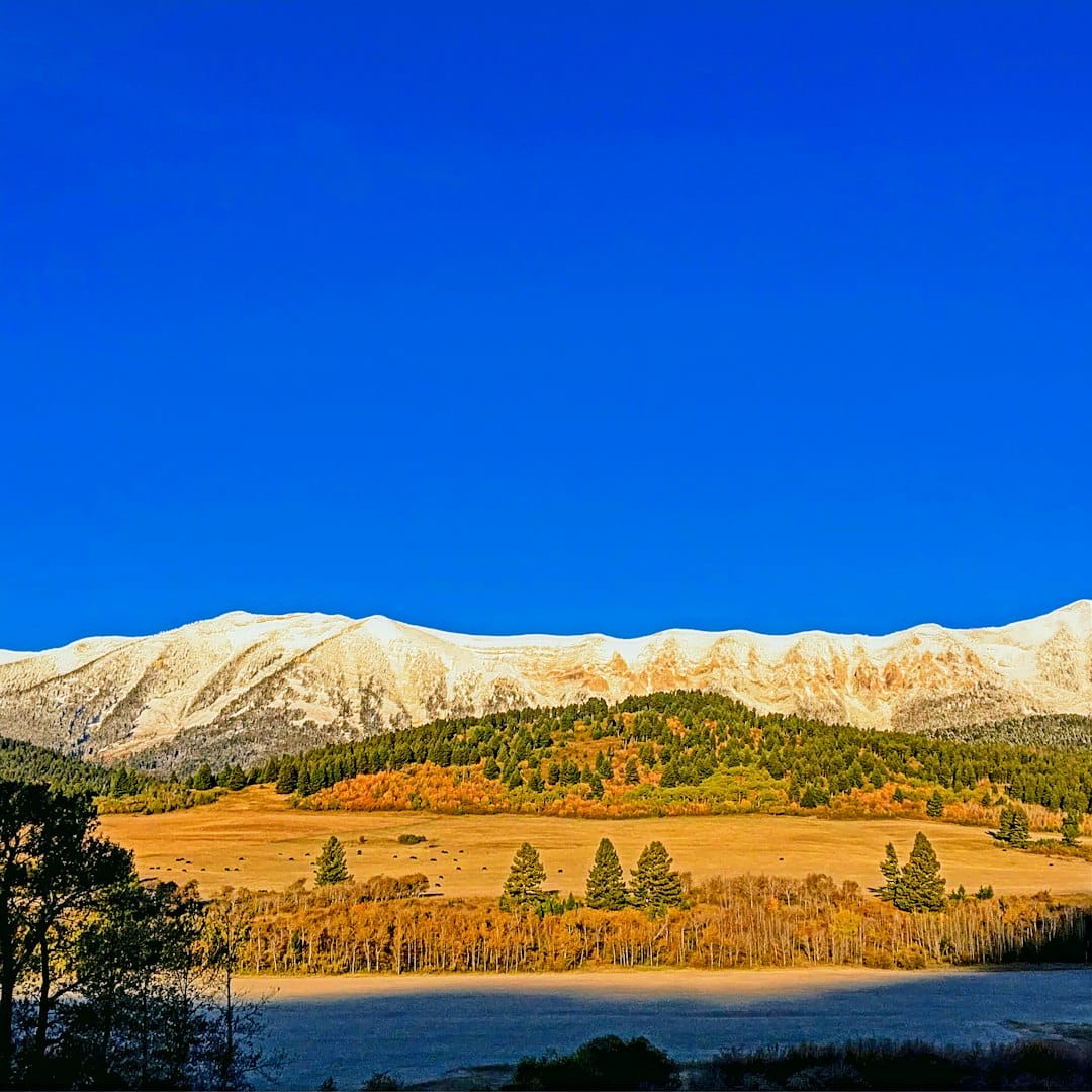 Montana lake and mountain landscape with pine trees under a wide blue sky.