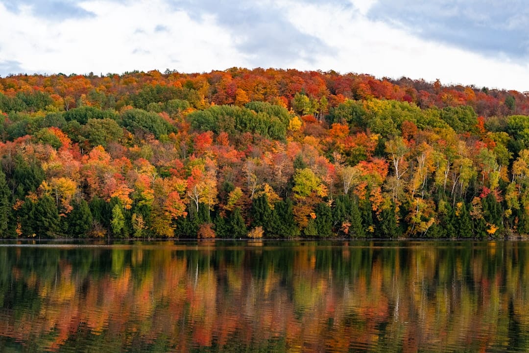 Vermont autumn foliage, trees reflected in a still lake at golden hour in the Green Mountain State.