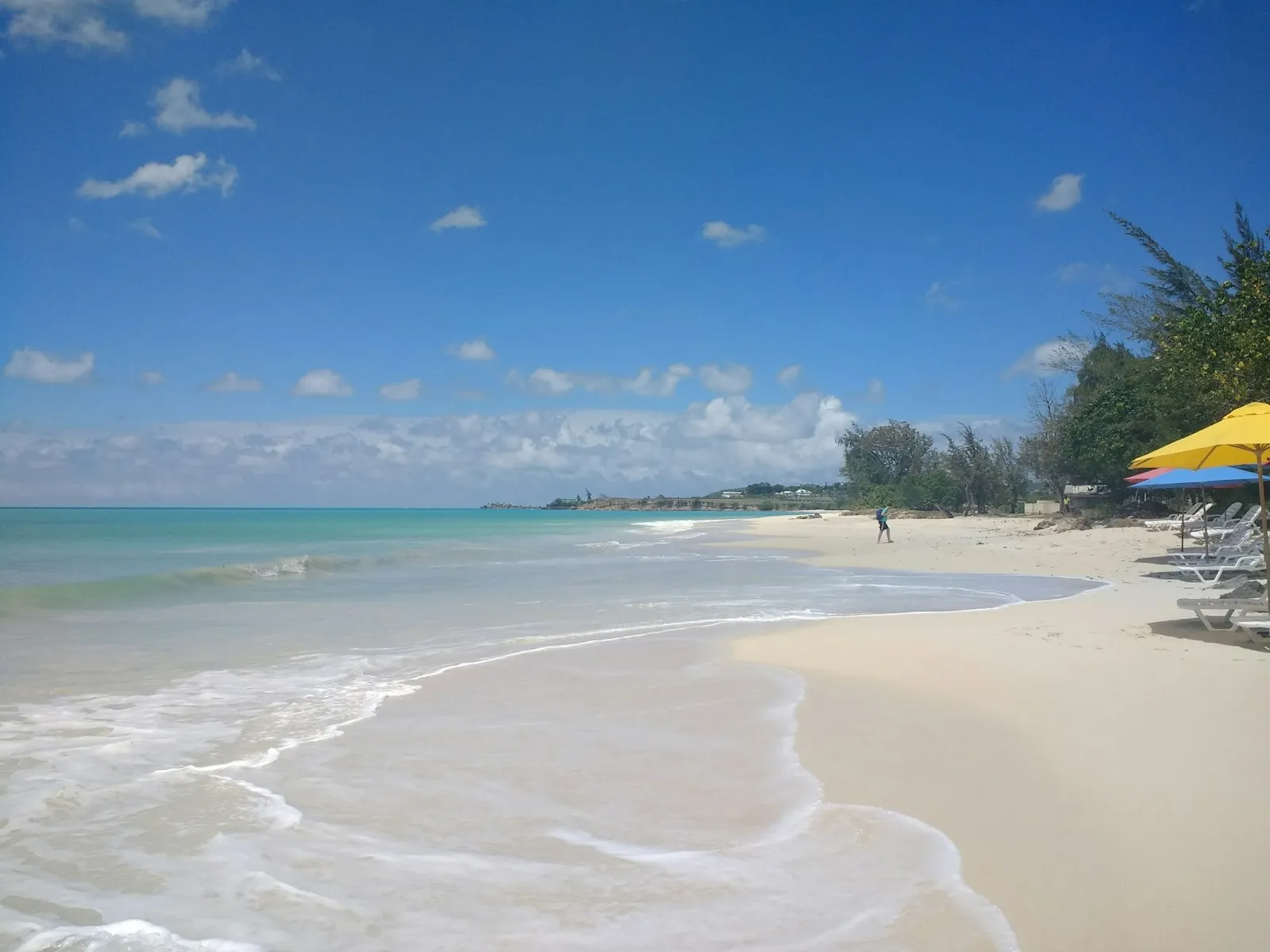 A white sand beach with palm trees and a calm turquoise sea under a blue sky in Antigua.