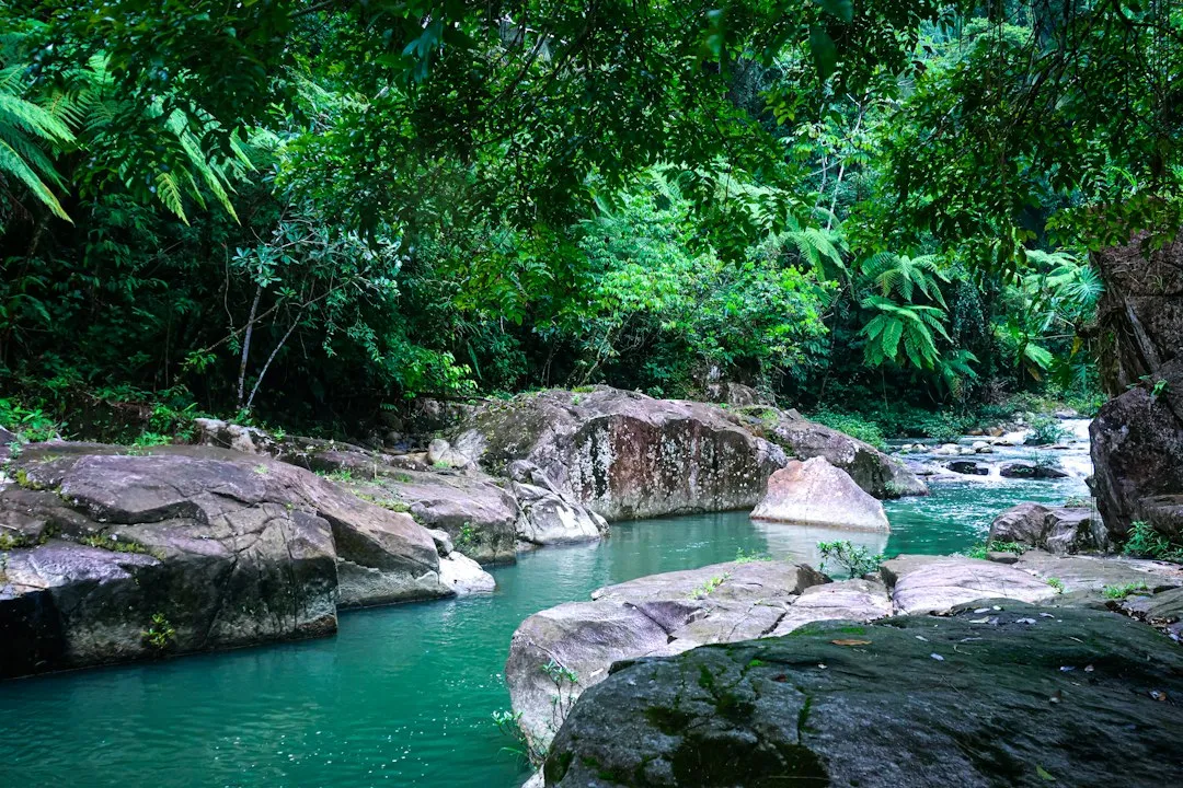 A clear turquoise river running between mossy boulders in dense tropical forest in Belize.