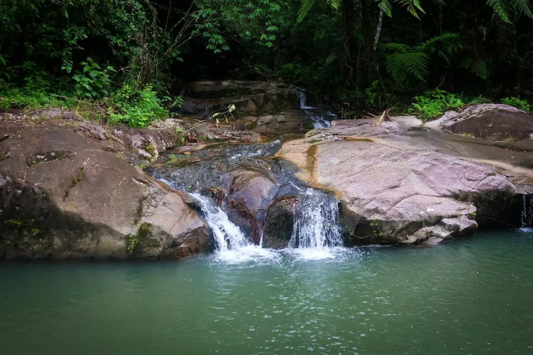 A small waterfall cascading over smooth brown rocks into a still green pool in a Belizean forest.