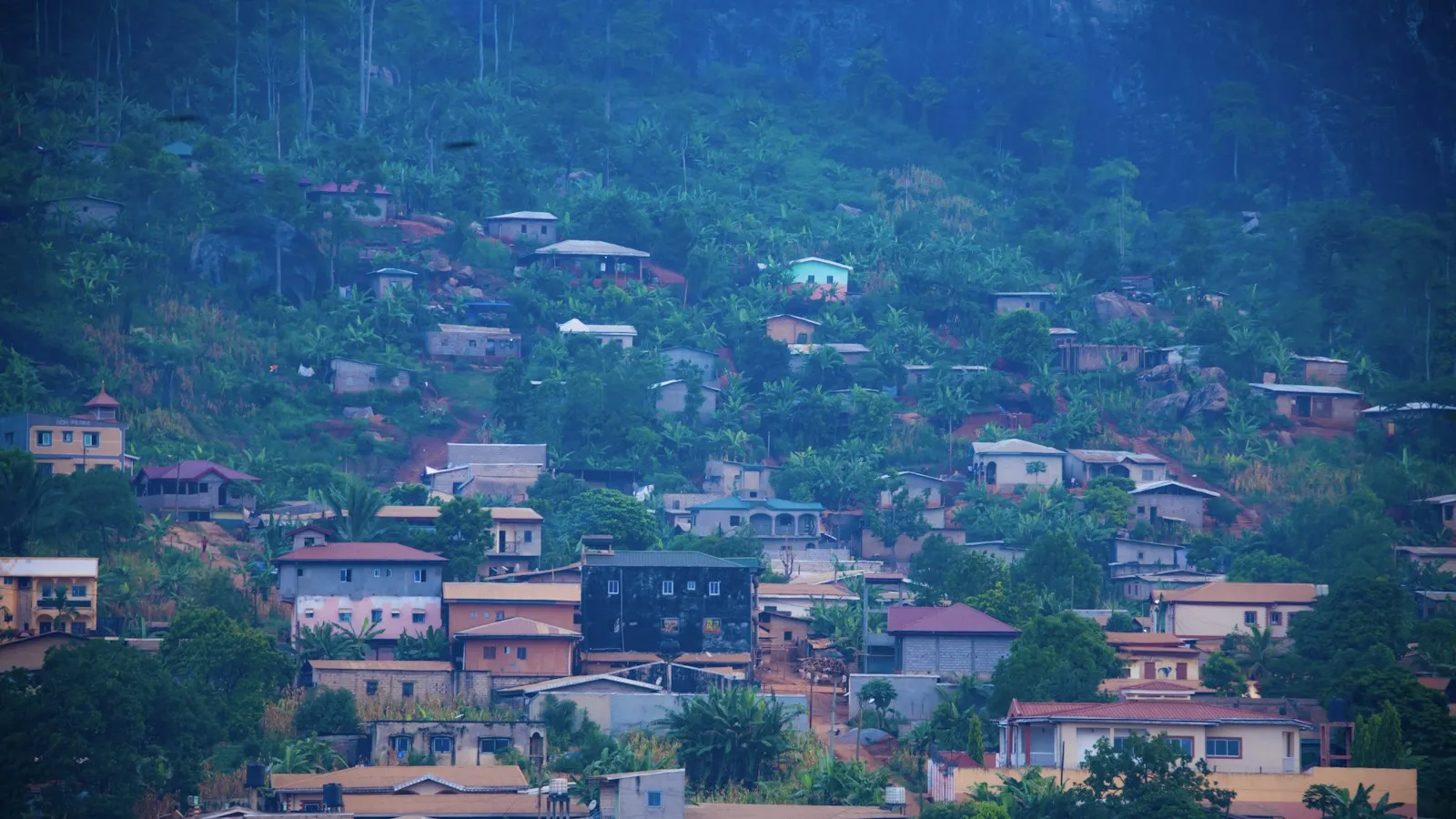 Houses with pink and white walls scattered across a steep, tree-covered hillside.