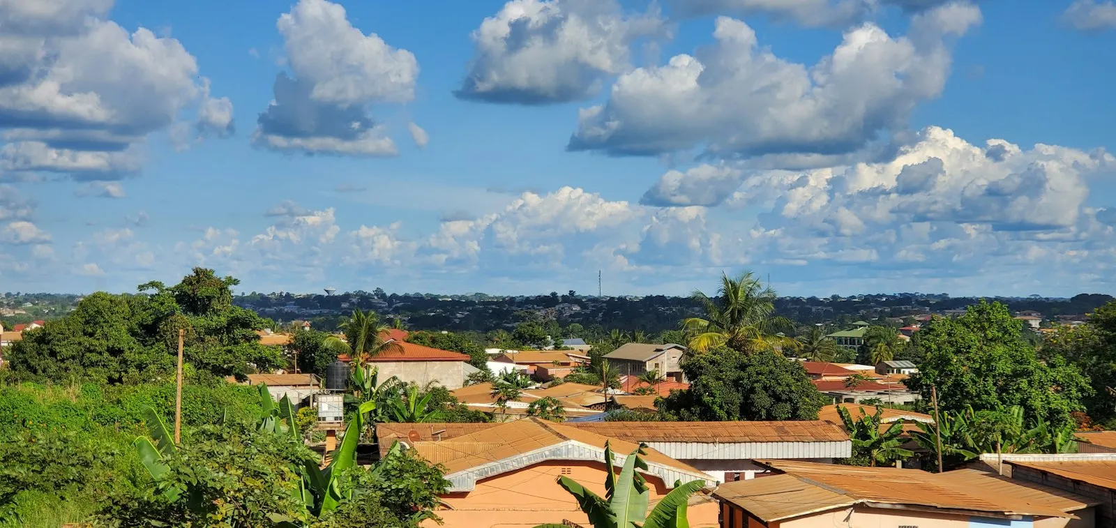 Red-tiled rooftops and green trees stretch toward a flat horizon under a sky of large white clouds.