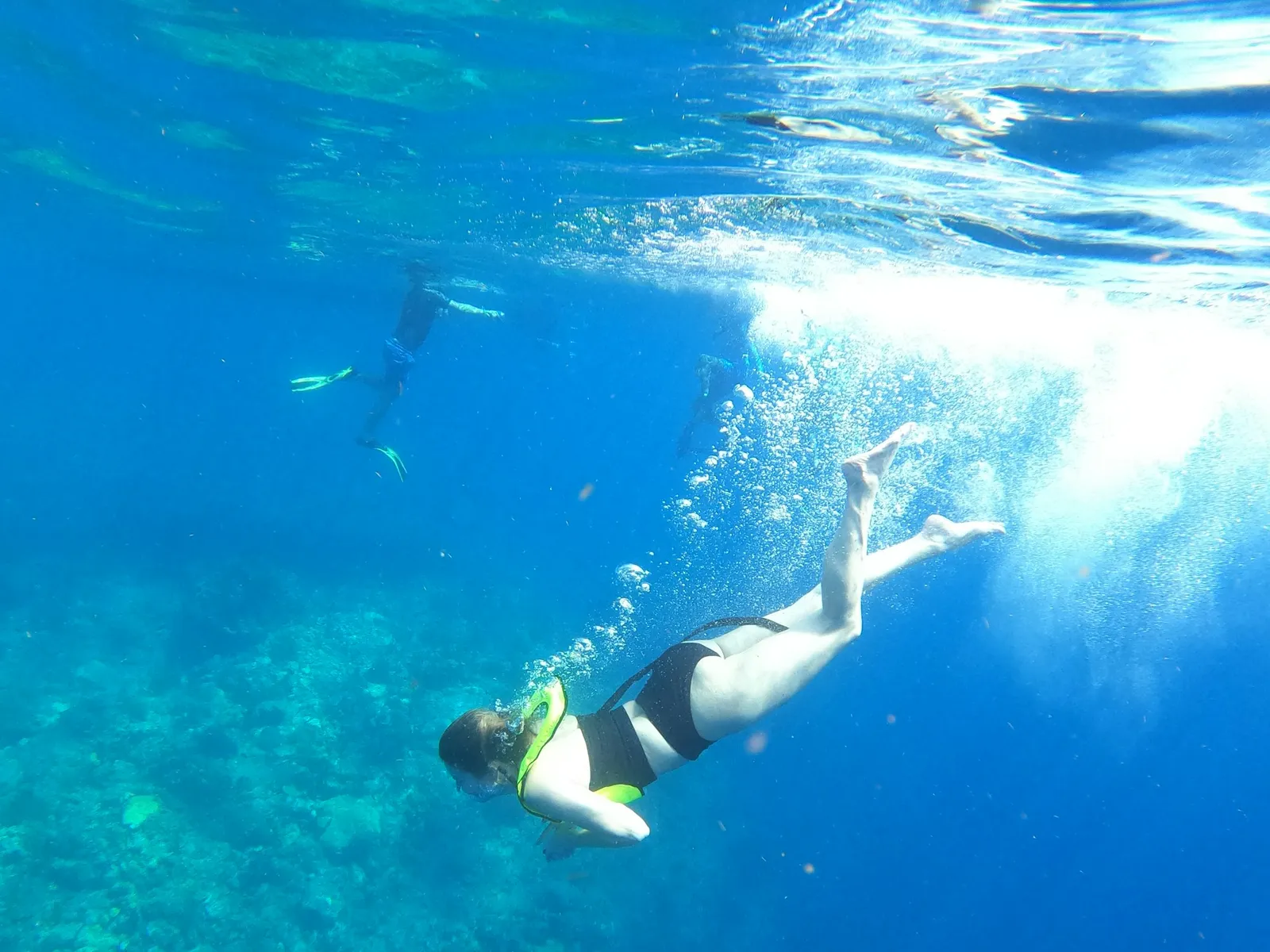 A snorkeller swimming over a coral reef in clear blue water at the Soufriere Scotts Head Marine Reserve.