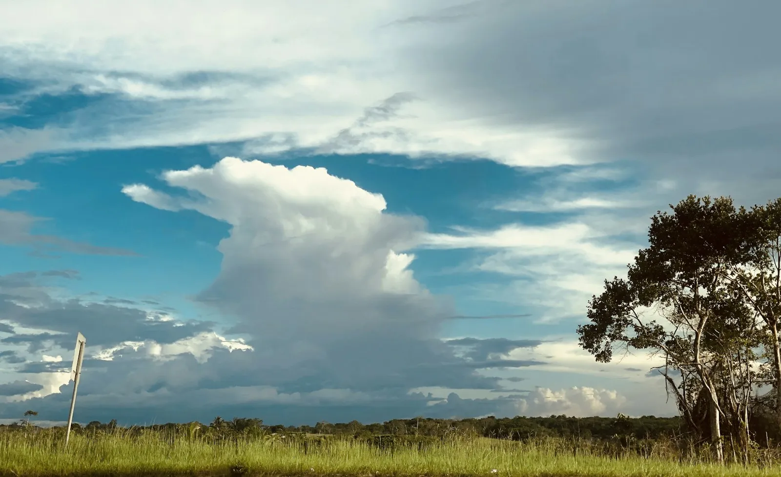 Open green savanna under a wide blue sky with towering clouds beside the Soesdyke-Linden Highway in Guyana.