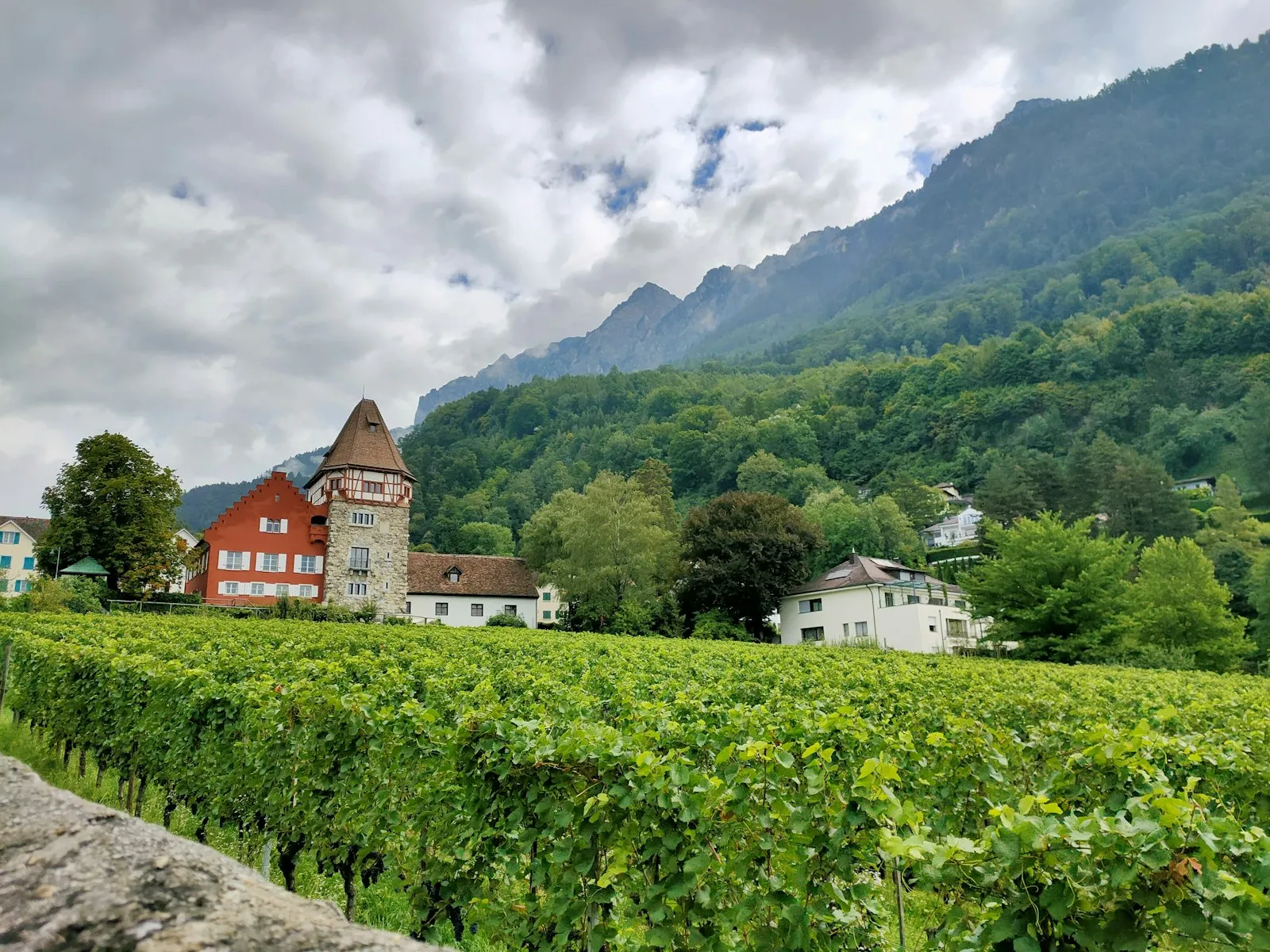 A house with a stone tower among rows of vines in Vaduz, with wooded mountains rising behind it.