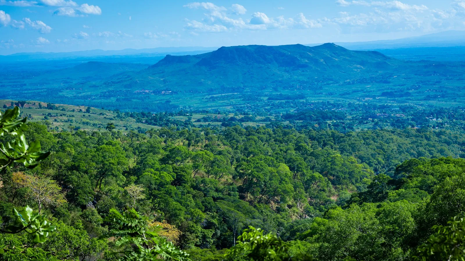 A wide green valley of forest and farmland stretching to a flat-topped mountain under blue sky.