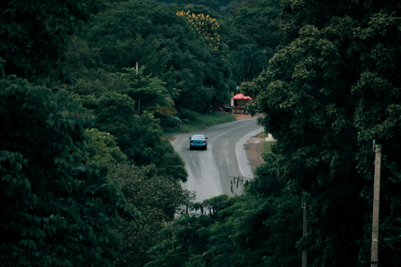 A winding tarred road curving through dense dark green forest, with one car on it.