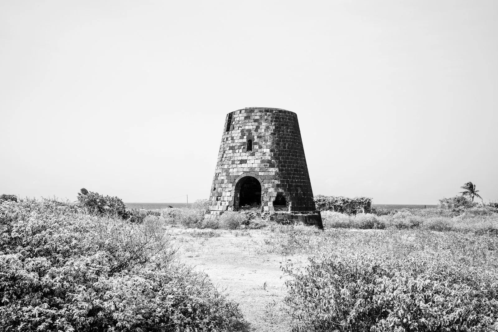 A black and white photograph of a round stone sugar mill tower standing in scrubland on Saint Kitts.