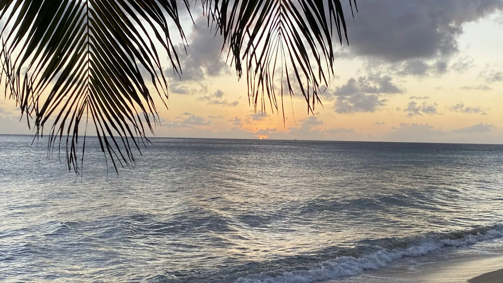 Waves reaching a beach under hanging palm leaves as the sun sets over the sea off Saint Kitts.