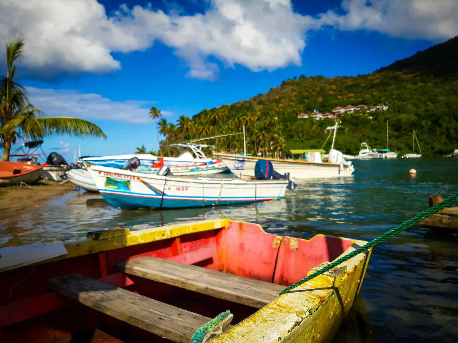 Small fishing boats in red, yellow and white moored in a bay below green hills in Saint Lucia.