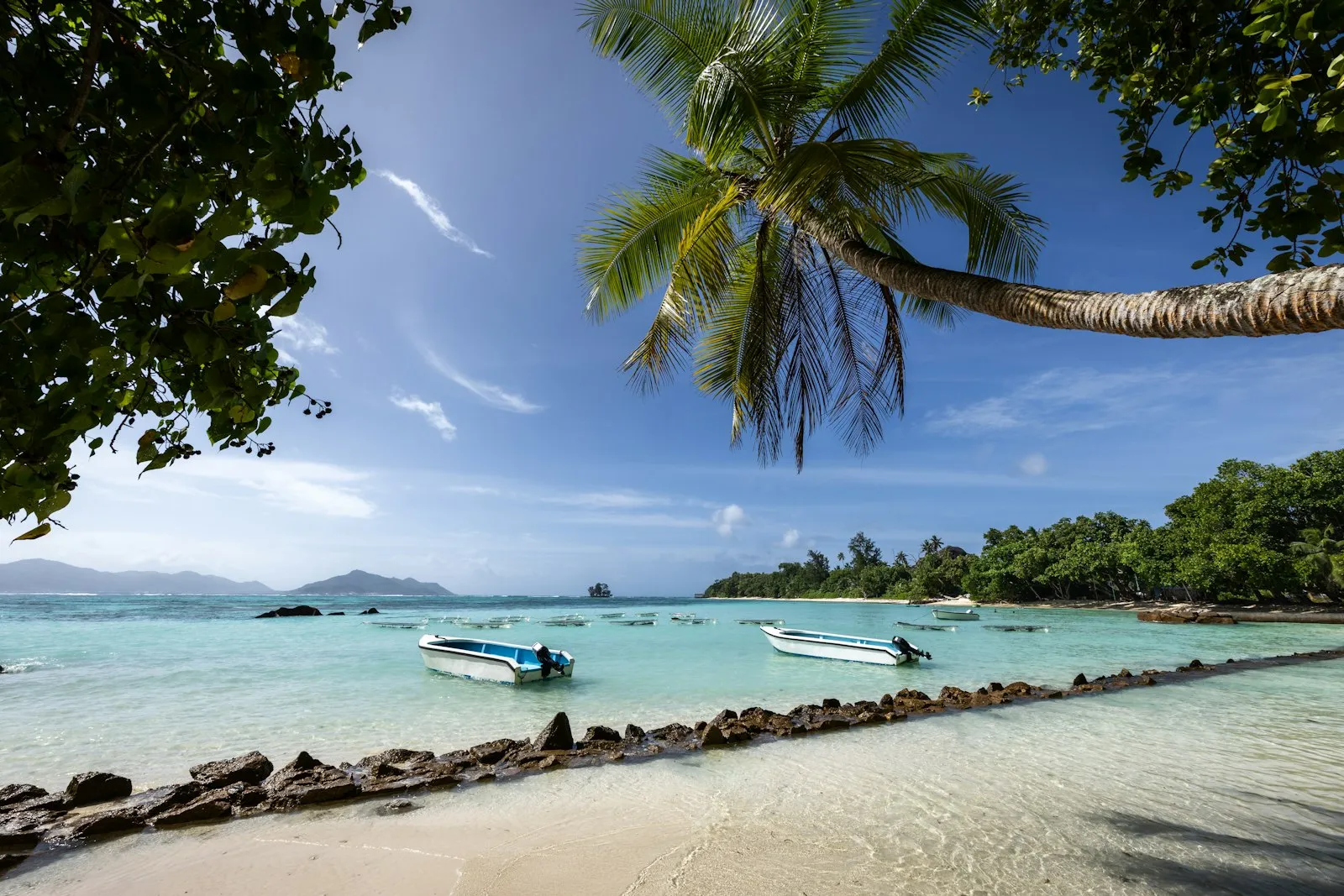 A sandy beach on La Digue with small boats pulled up beside leaning palm trees under a blue sky.