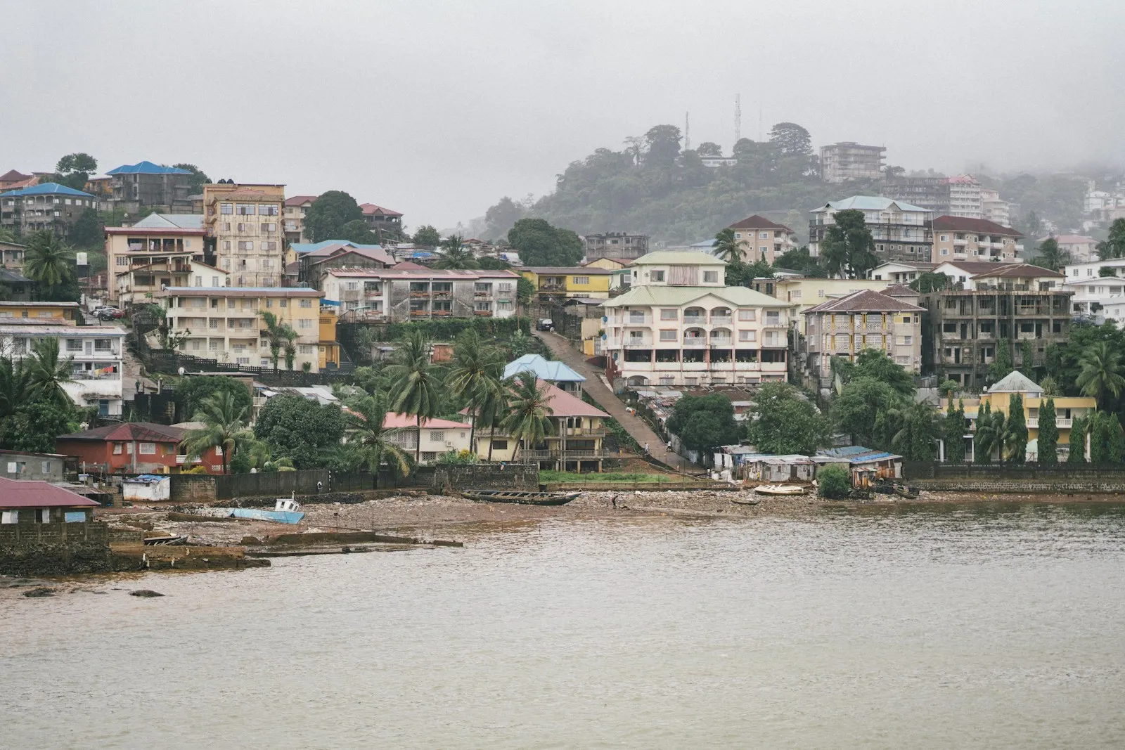 A Freetown hillside of houses in many colours above a quiet bay, with palm trees at the water's edge under a grey, misty sky.