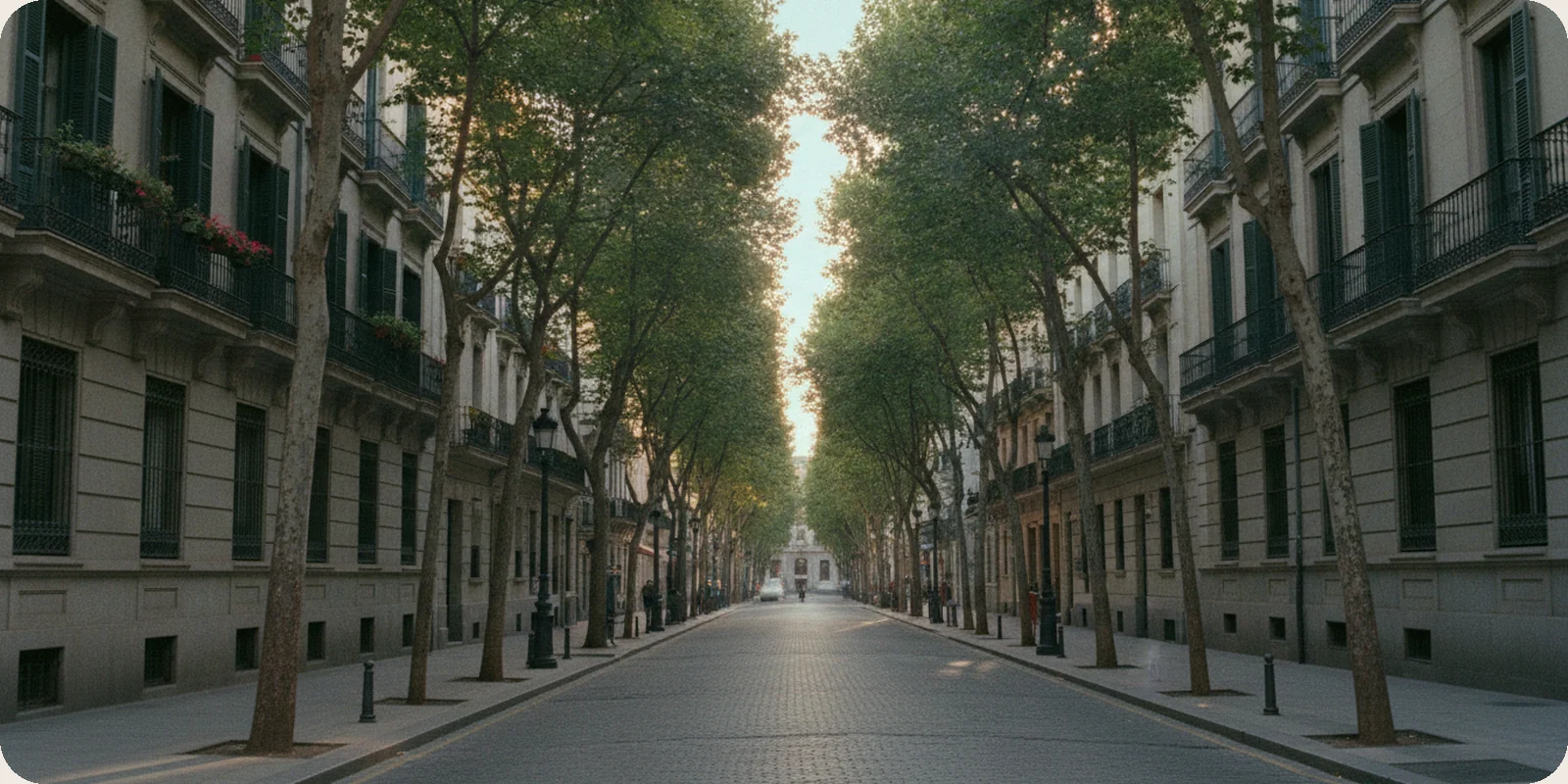 A quiet street in Madrid's Salamanca district, with stone apartment buildings, wrought-iron balconies and tall shuttered windows behind a line of plane trees in clear morning light.