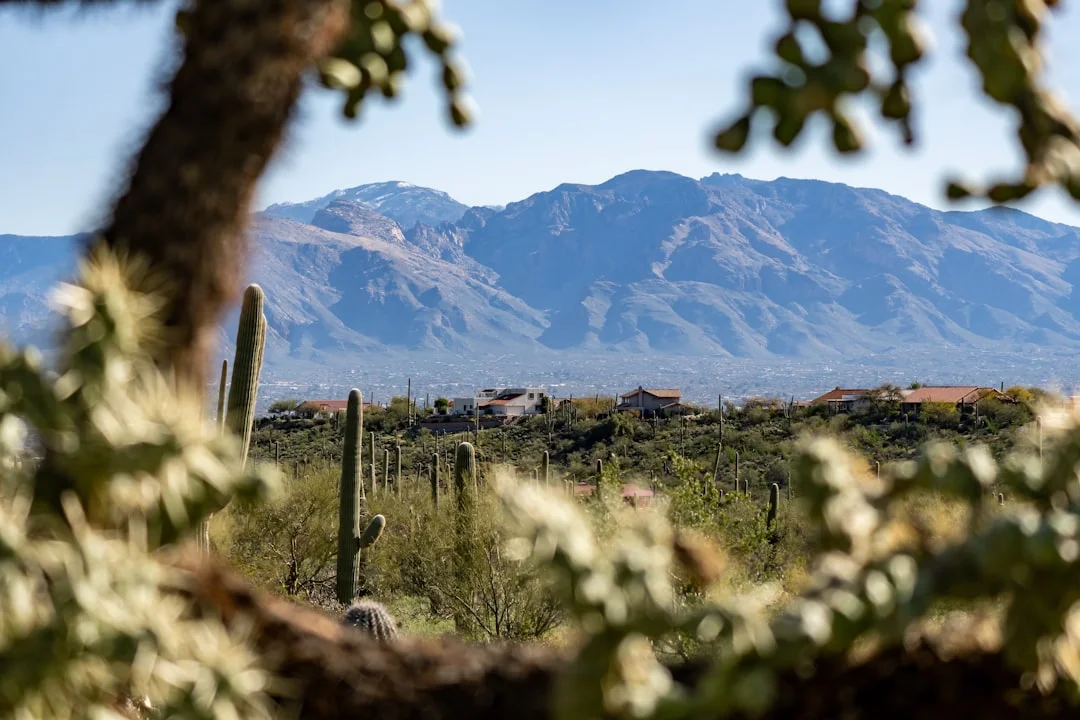 View across a Tucson, Arizona desert valley with the Catalina mountain range rising in the background under a clear blue sky.