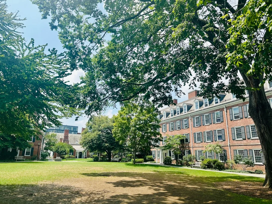 Autumn leaves and brick architecture in Connecticut, with mature trees and historic university buildings framing a quiet New Haven walkway.