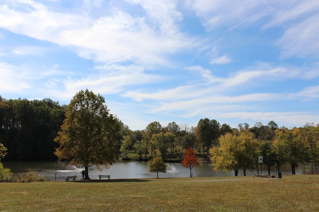 Daytime view of Wilmington, Delaware with trees along a body of water under a blue sky.