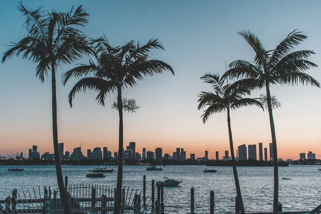 Silhouette of palm trees against a Miami sunset over Biscayne Bay, Florida.