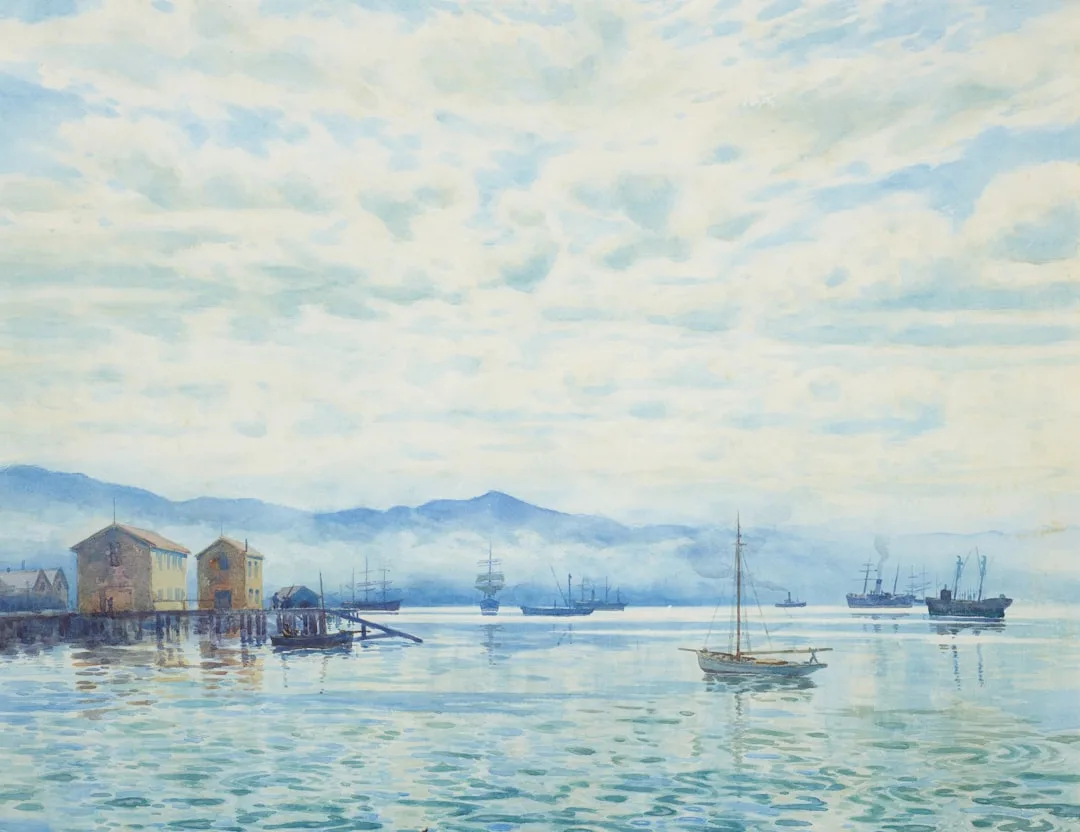 A warm wide illustration of Wellington harbour at golden hour: the green hills rising behind the waterfront, the cable car line, and small sailing boats on calm water under a soft amber sky.