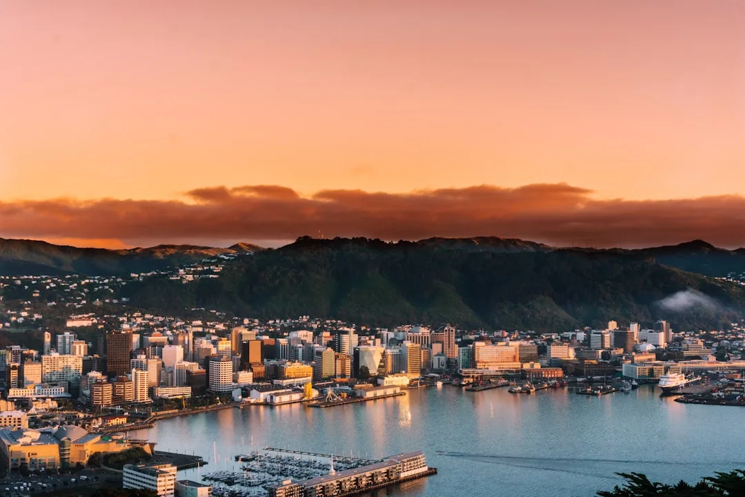Wellington harbour at golden hour with the hills and waterfront buildings catching warm light.