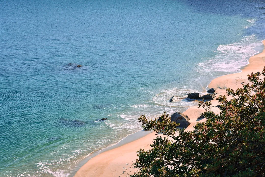 A contractor working at a waterfront cafe in Sao Tome, with the blue Atlantic and lush green hillside visible through the open window.