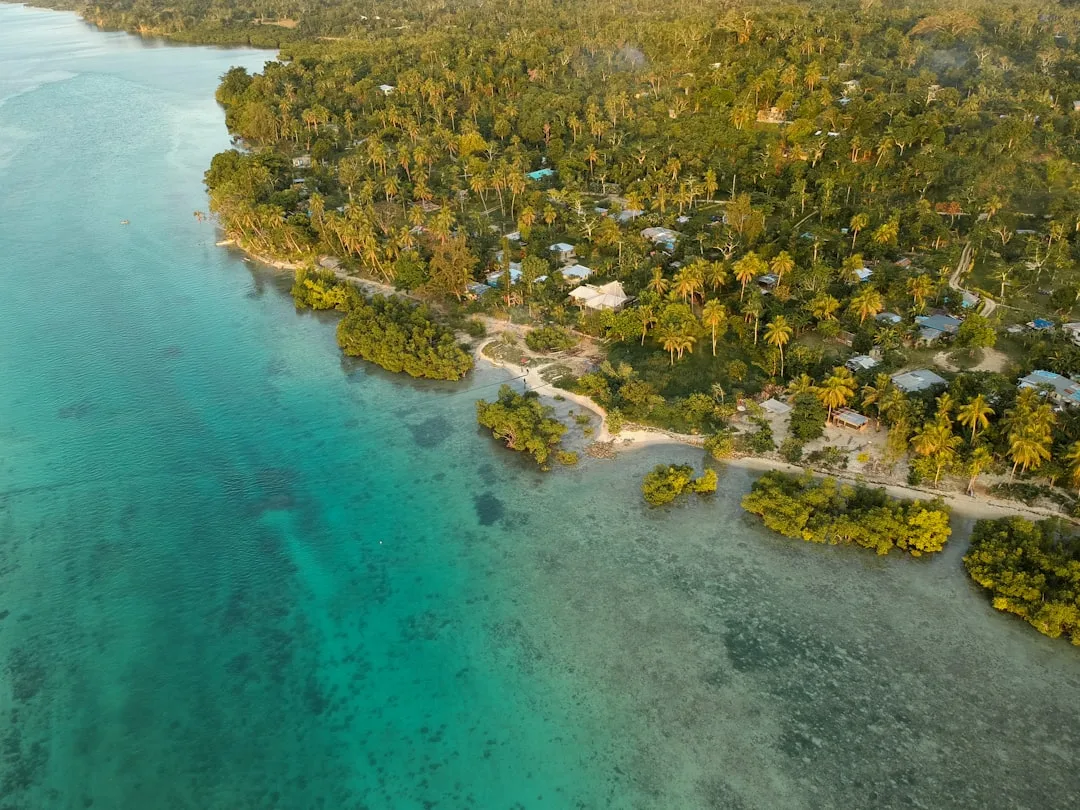 A contractor working at an outdoor desk on the island of Efate, Vanuatu, with turquoise water and palm-fringed coastline visible beyond.